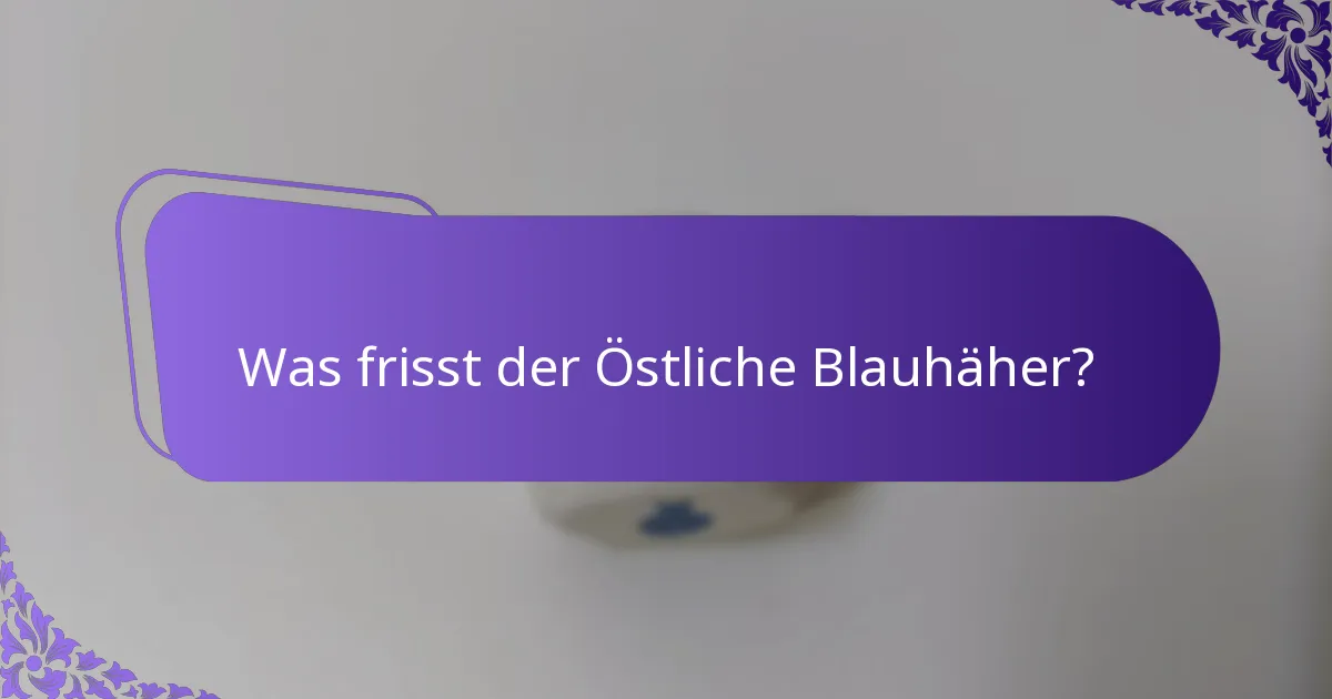 Welchen Lebensraum bevorzugt der Östliche Blauhäher?