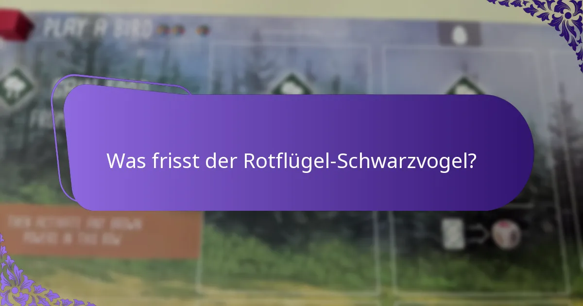 Was ist der Lebensraum des Rotflügel-Schwarzvogels?