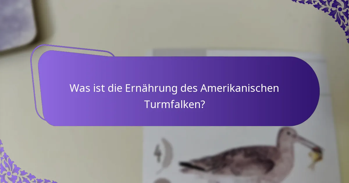 Wo lebt der Amerikanische Turmfalke typischerweise?
