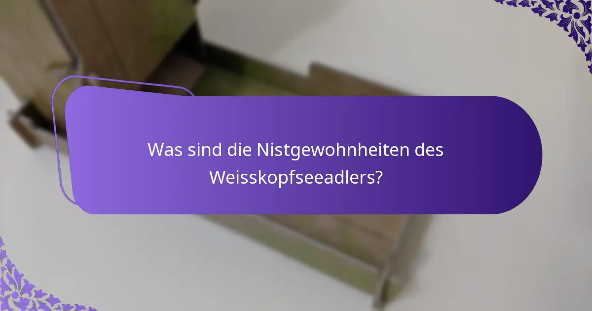 Was ist die Ernährung des Weisskopfseeadlers?