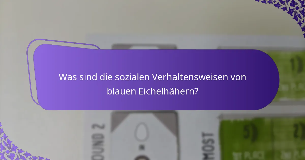 Was ist die Ernährung blauer Eichelhäher?