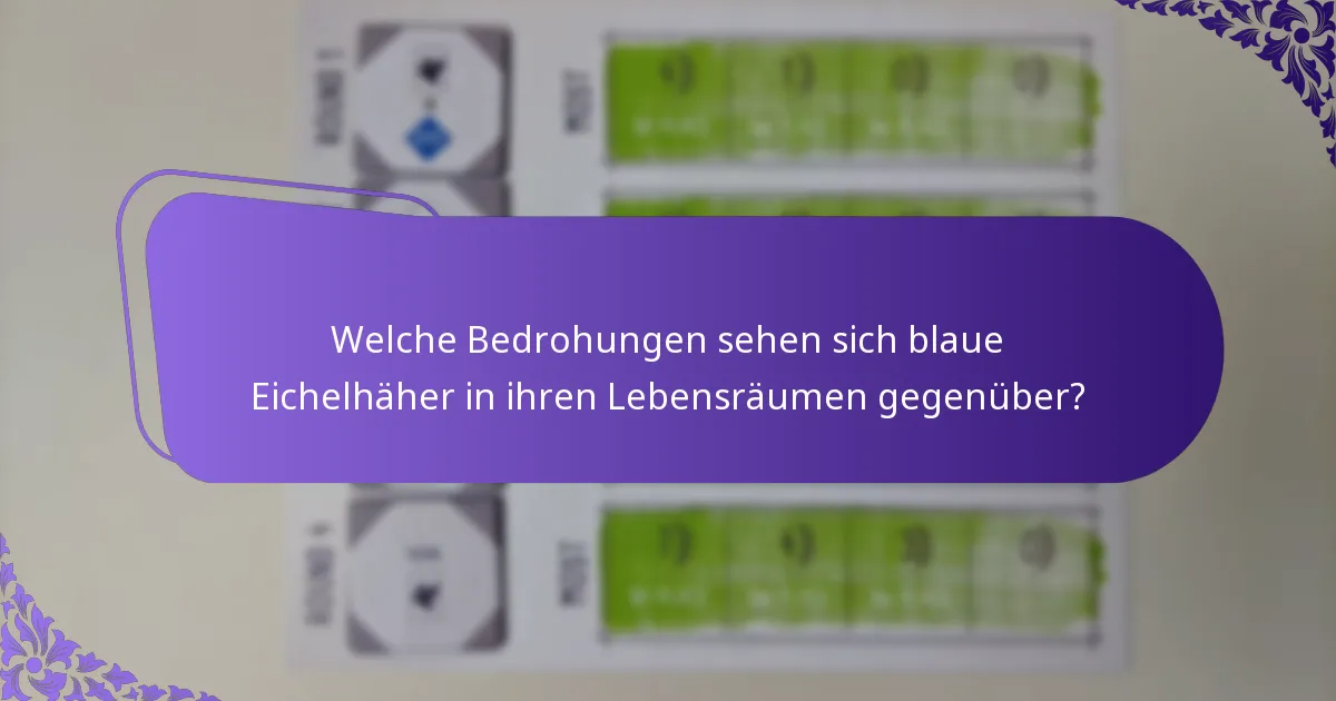 Wie interagieren blaue Eichelhäher mit ihrer Umwelt?