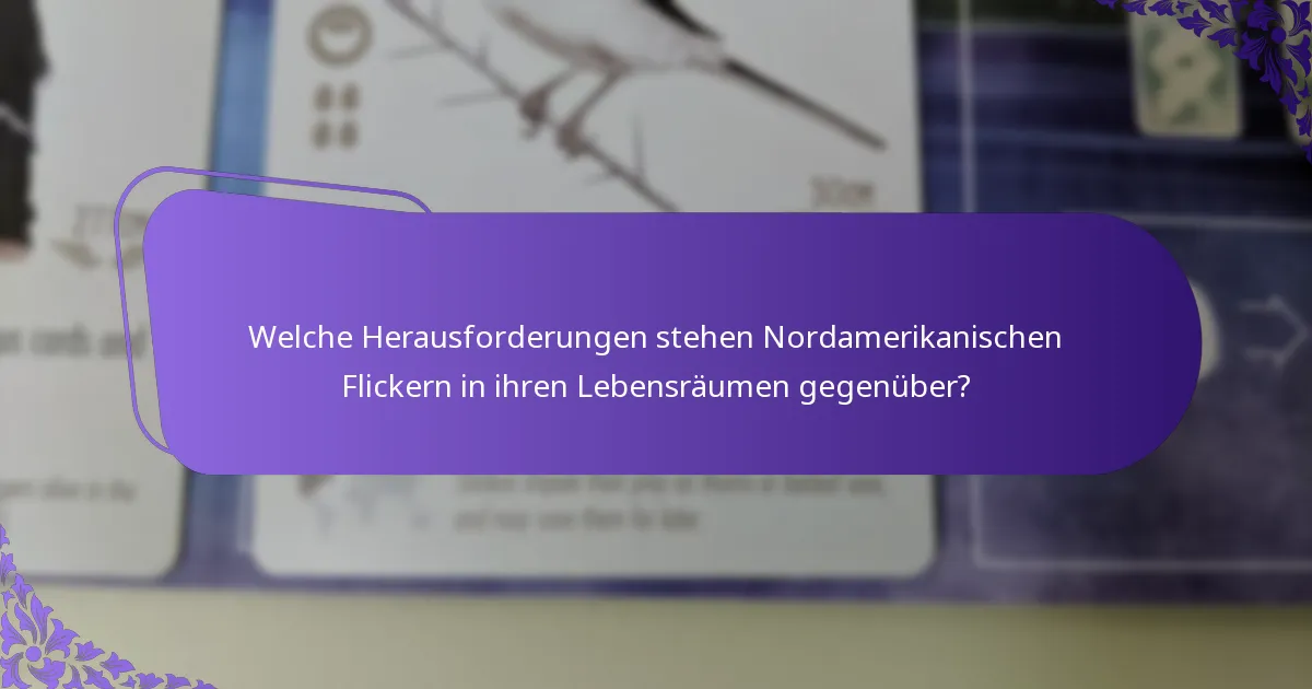 Welchen Lebensraum bevorzugt der Nordamerikanische Flicker?