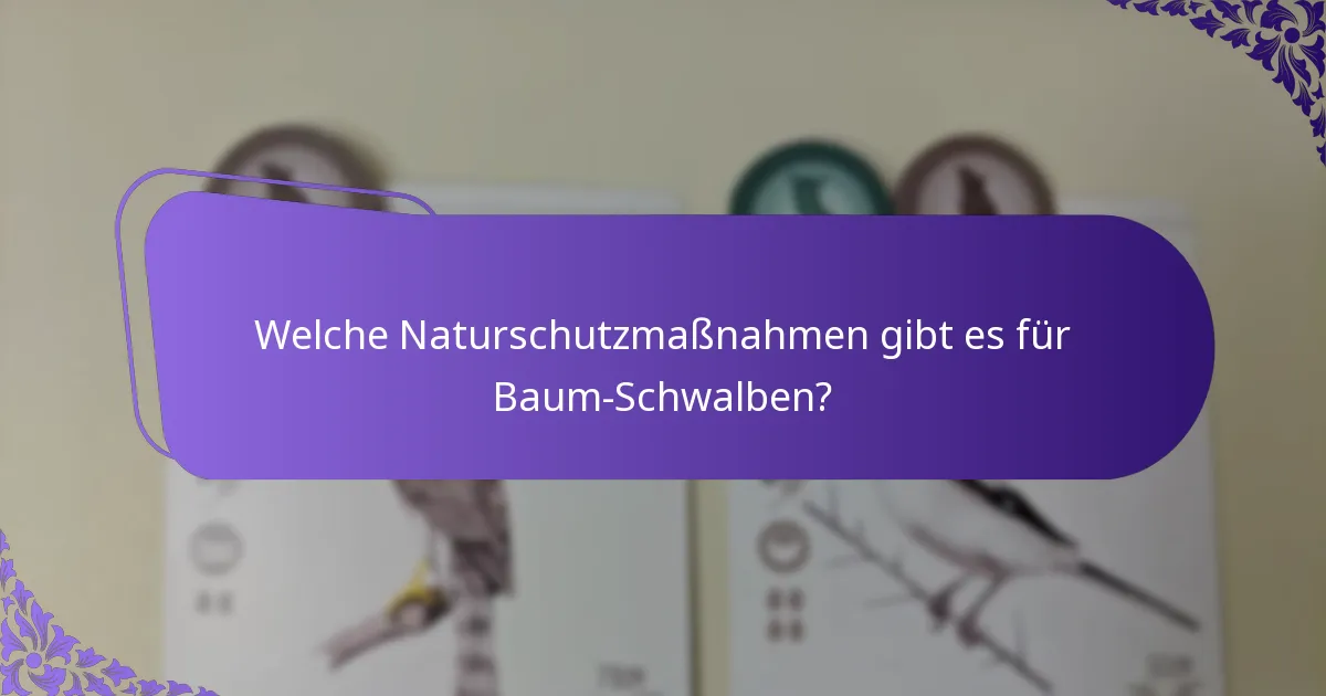 Wie interagieren Baum-Schwalben mit ihrem Ökosystem?