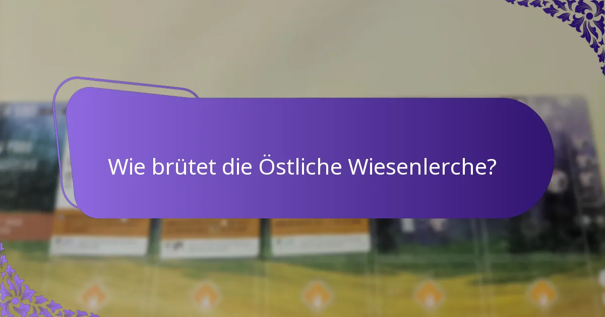 Wie brütet die Östliche Wiesenlerche?