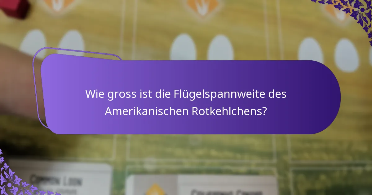 Wie passt sich das Amerikanische Rotkehlchen seiner Umgebung an?