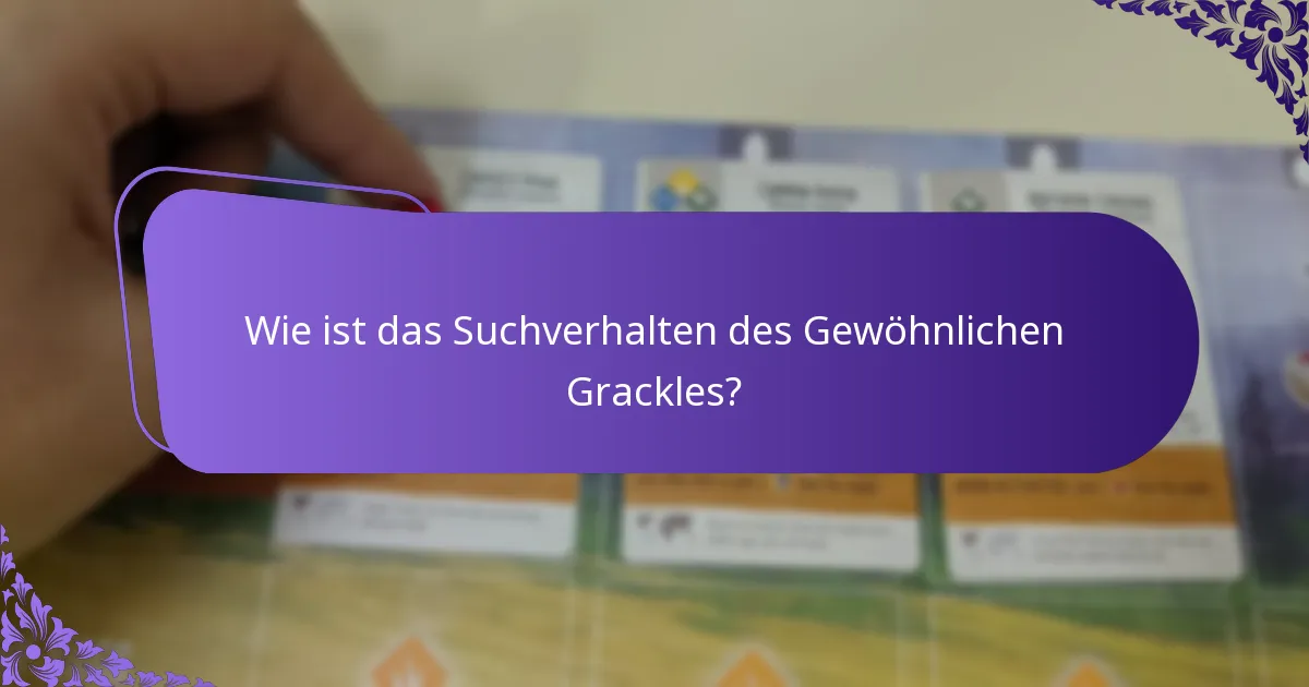 Wie sind die Fortpflanzungsgewohnheiten des Gewöhnlichen Grackles?
