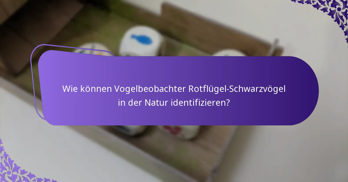 Wie passt sich das Verhalten des Rotflügel-Schwarzvogels an Umweltveränderungen an?