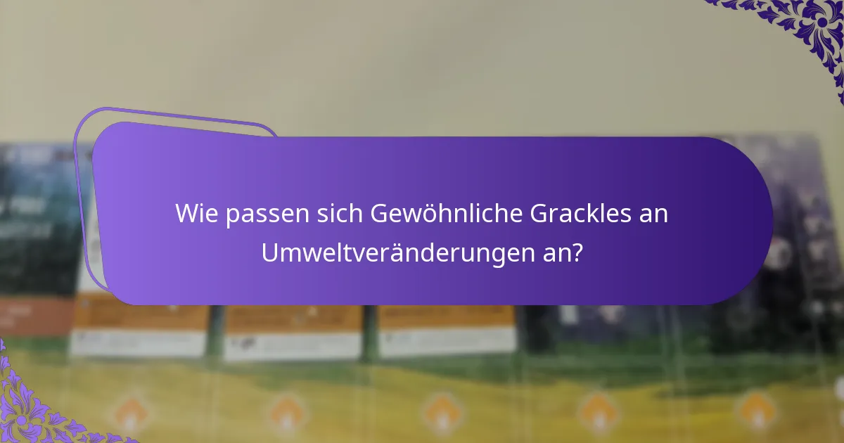 Wie passen sich Gewöhnliche Grackles an Umweltveränderungen an?