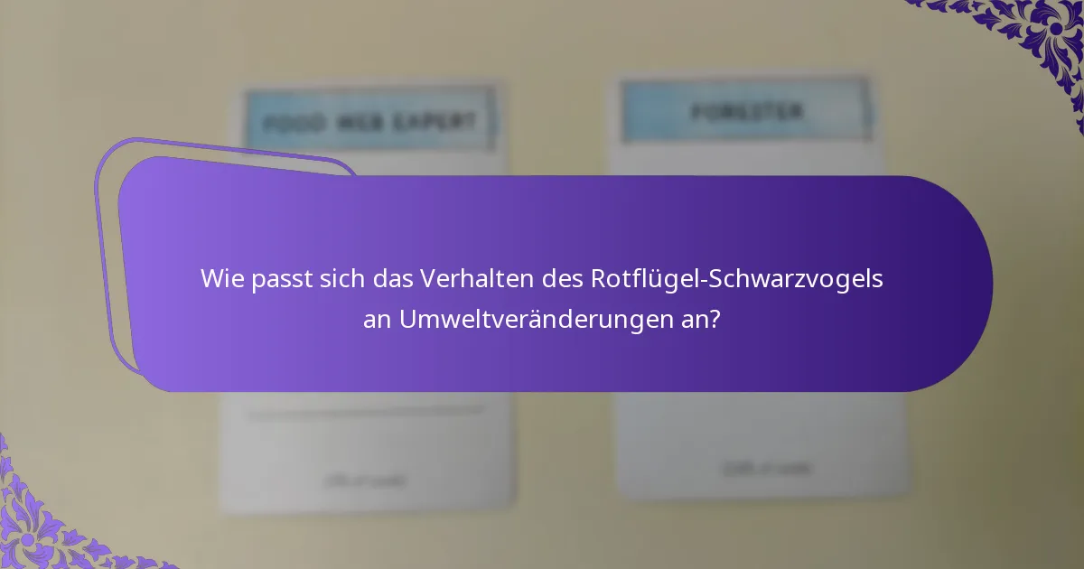 Wie können Vogelbeobachter Rotflügel-Schwarzvögel in der Natur identifizieren?