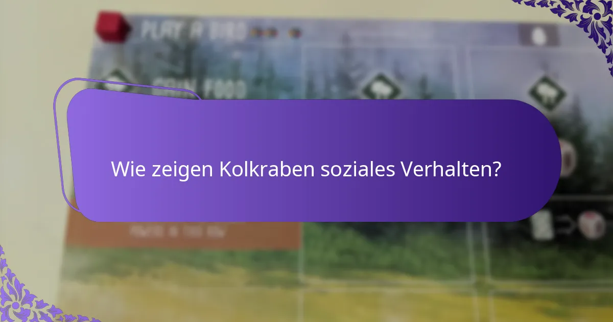 Wie vergleichen sich Kolkraben mit anderen Rabenvögeln?